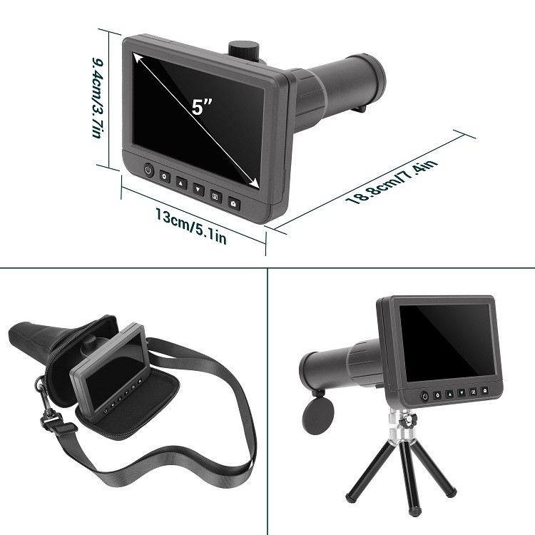 product-750-750 product-750-750