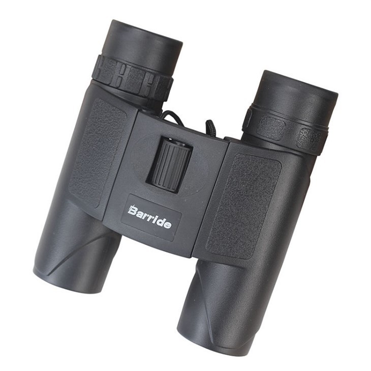 10X25 Binoculars For Birding