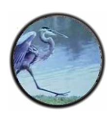 info-220-233 info-220-233