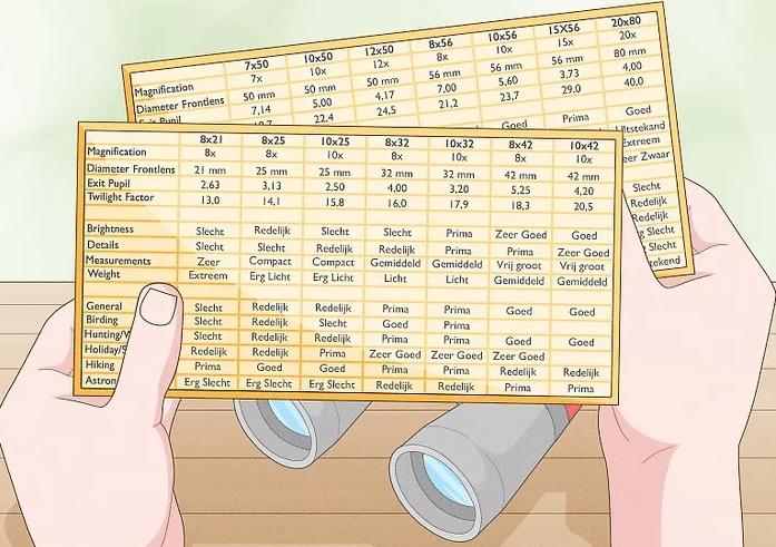 info-697-491 info-697-491